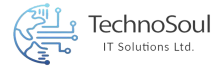 TechnoSoul IT Solutions LTD