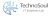 TechnoSoul Logo